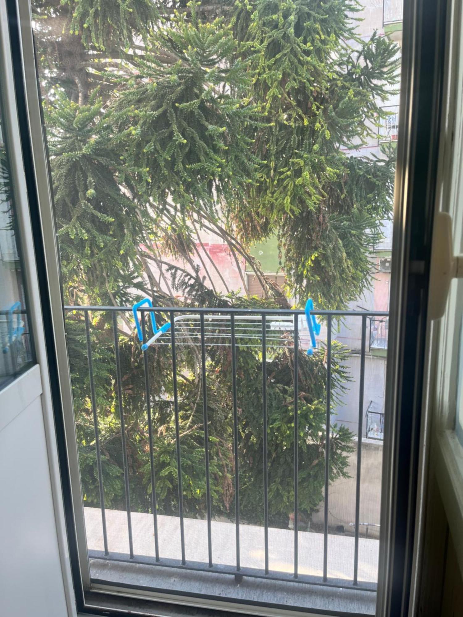 Mediterraneo Apartment Ercolano Ngoại thất bức ảnh
